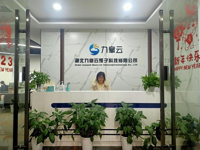 技术驱动未来 王新强与公司的创新之路
